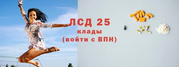 шишки Баксан