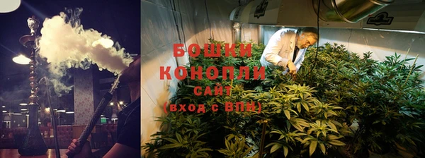 шишки Баксан