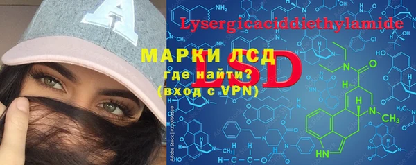 шишки Баксан