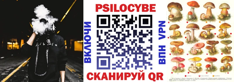 Псилоцибиновые грибы Psilocybe Нижнеудинск