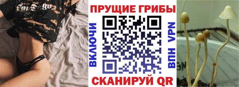 Галлюциногенные грибы ЛСД  Купить где  Нижнеудинск 